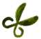 cropped cropped cropped schere.png